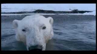 Let Me Go - Monster Paws