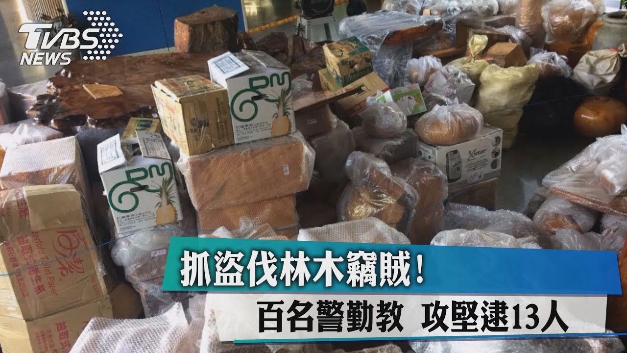 抓盜伐林木竊賊!百名警勤教 攻堅逮13人