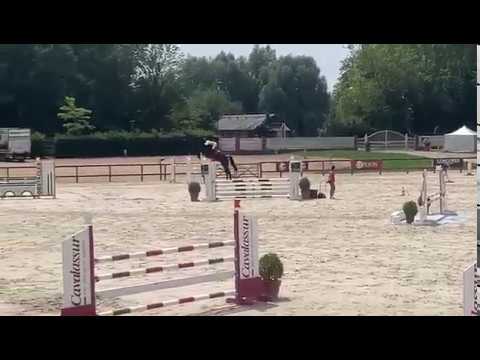 Djud Box  né en 2013 by Diarado et Chacco Blue