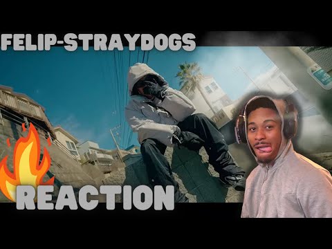 HE POPPIN HIS 💩FELIP-STRAYDOGS (REACTION)🔥