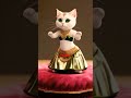Cute Kittens Dance Catdance Funny Cute Shortfeed Comedy Catvideos Cutecat Kitten Cat