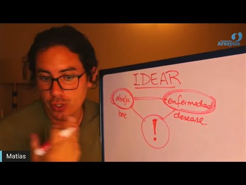 Day 321 IDEOLOGIES - Matias De Stefano - English Edit
