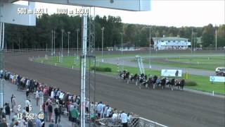 Bro Viking i Final Svenskt Kallblodsderby 2013
