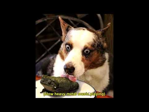 download lagu mp3 mp4 Music Slow Metal, download lagu Music Slow Metal gratis, unduh video klip Music Slow Metal