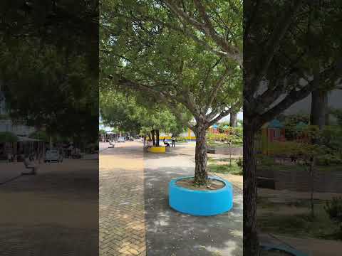 saludos desde Saldaña - Tolima