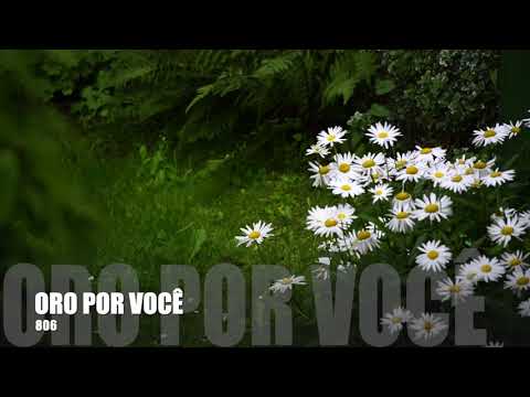 Oração 806