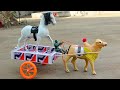 How To Make Matchbox Loader With Cow And Horse Toy