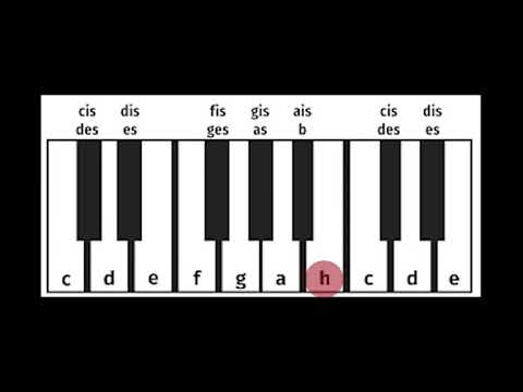 e-Lekcje in Paradise - odc. 2: "Układ klawiatury i oktawy"