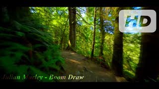 Julian Marley - Boom Draw