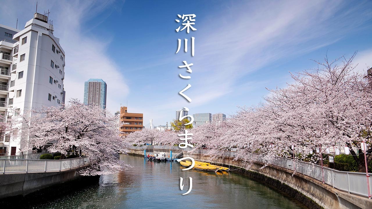 [Sakura] Fukagawa Sakura Matsuri