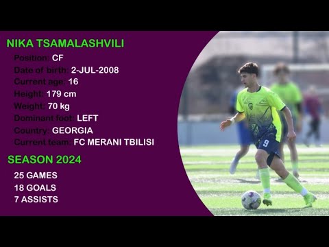FC MERANI TBILISI - NIKOLOZ TSAMALASHVILI
