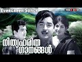 Nithya Haritha Ganangal C I D Nazir Video Songs Premnazir Jayabarathi M K Arjunan Hits