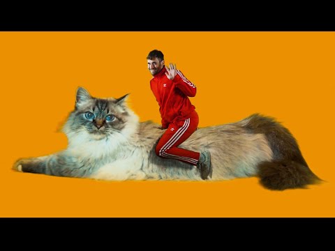 Crystal F - Alle meine Freunde 'Prod. Crystal F & Ikarus' (Official 4K Video)