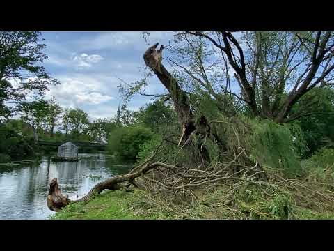 Lippstadts Grüner Winkel nach dem Tornado: statt Vogelgetzwitscher Motorsägeninferno (24-25.05.2022)