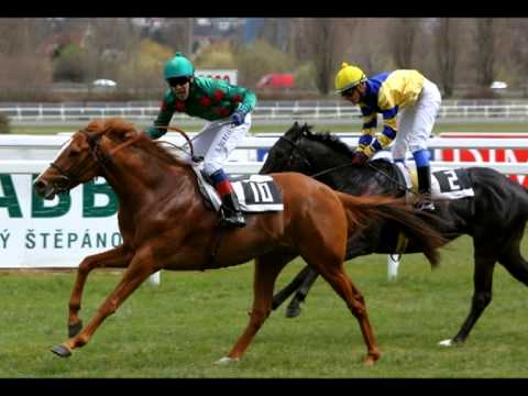 Flashovky, České derby: Andrés, Murzabajev, Srnec