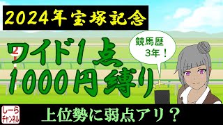 【2024年宝塚記念】グラフシステムを改修しました！【しーらch】