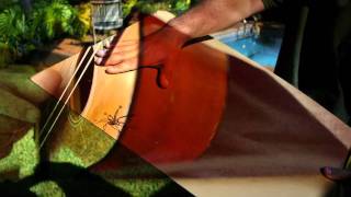 Song A Day #947: Oh, Little Spider