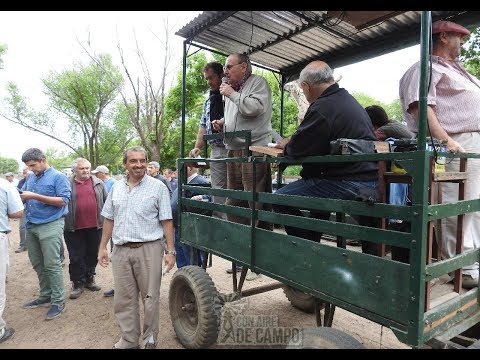 Resumen del remate 81° de Arribere, Ugarte y Cía  - Viernes 8 de noviembre de 2019 -  Rauch