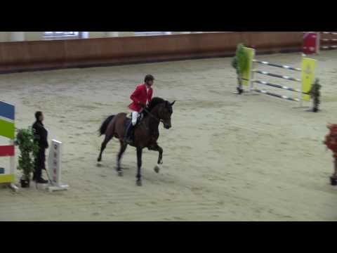 Student (Captain Fire - Cornet Obolensky) 2010 г.р 1,40см перепрыжка