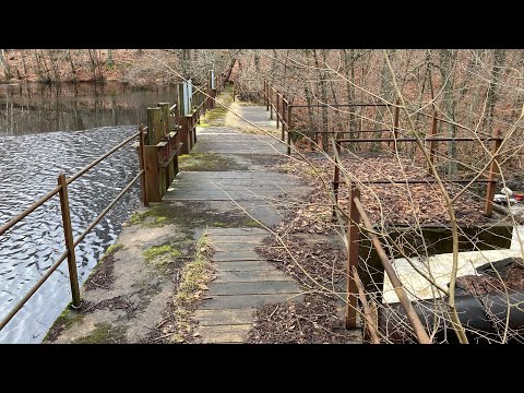 SÅGVERKSDAMMEN i MÖLLERYD - 2022-01-27 - Johannishus - Ronneby - Huawei P40 Pro