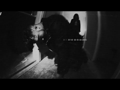 Wasting My Time - Pink Cocoon (Official Music Video)