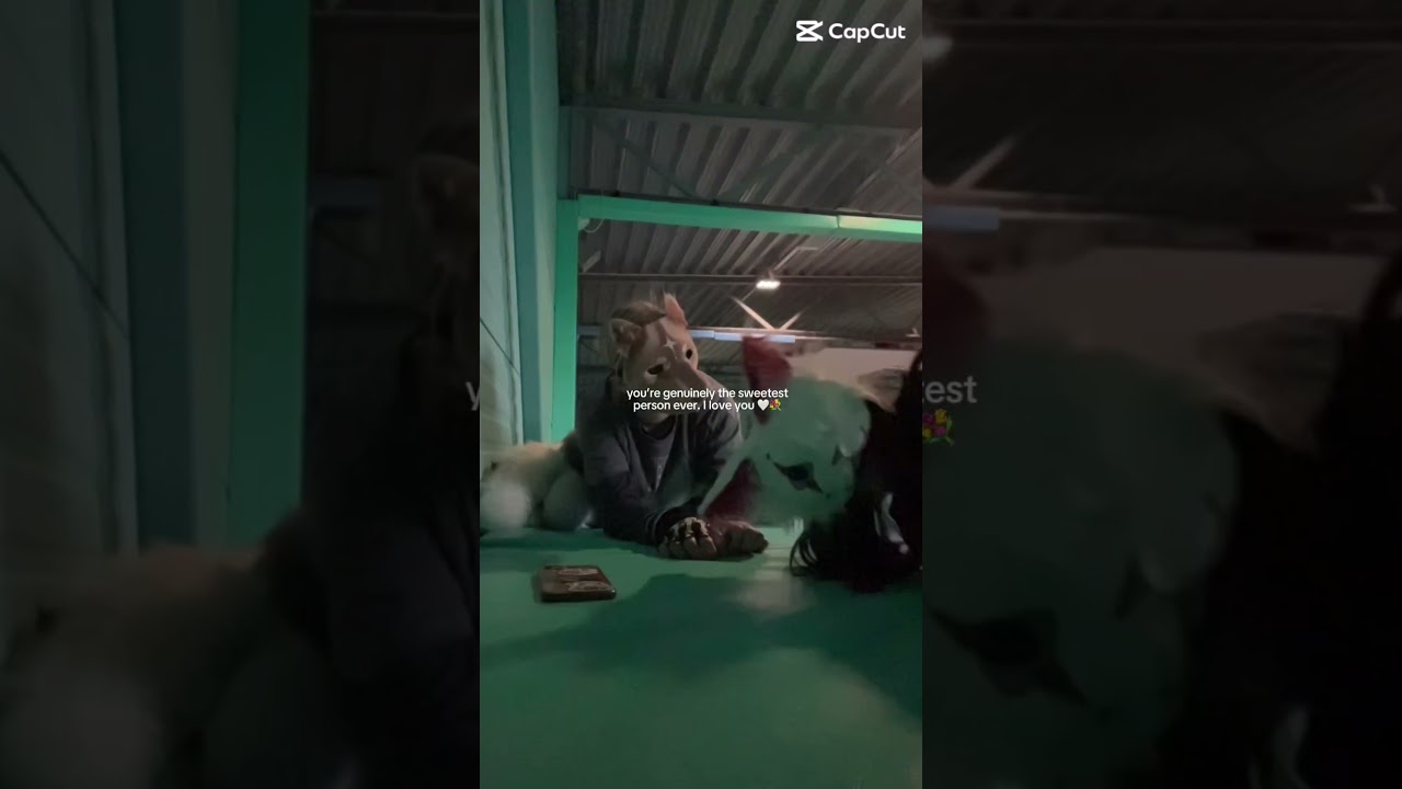 YOU’RE PERFECT! I LUVV U SMM!! ❤️❤️❤️❤️✨✨ #azzaionpaws #ollizai #shortsfeed #therian
