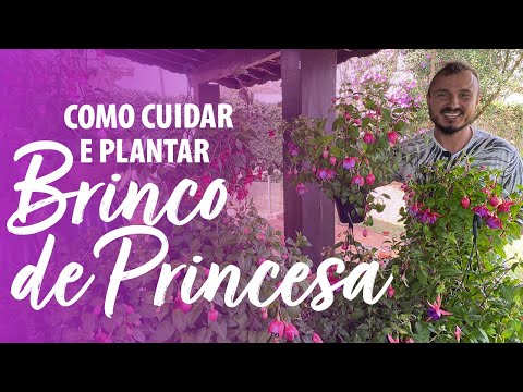 Princesa - 