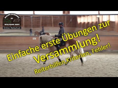 F86: Die Versammlung erreiten- richtig und falsch gezeigt. Übungen- Pferde versammelt reiten lernen.