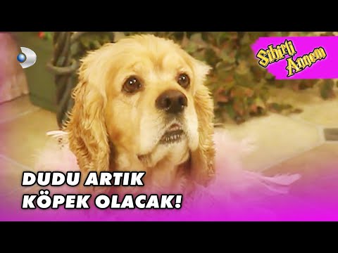 Dudu KÖPEK Oldu! - Sihirli Annem 106. Bölüm