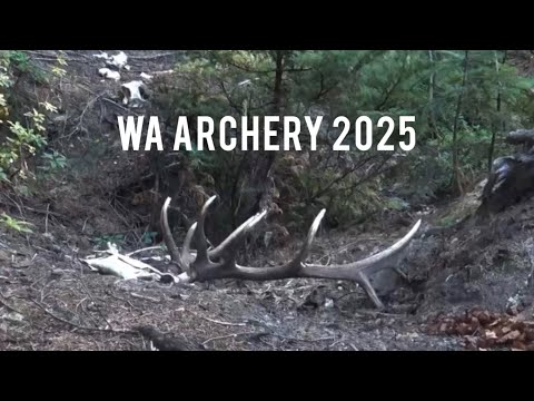 WA Archery Elk Hunt 2025