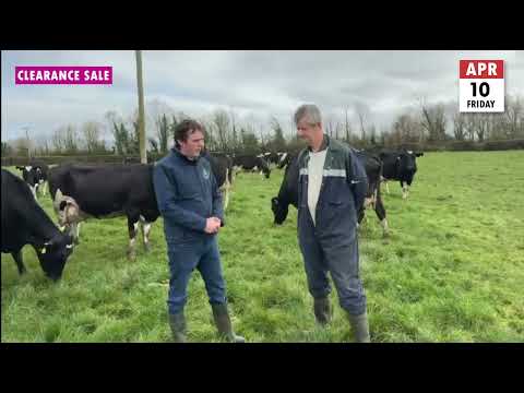 Full Dairy Clearance Sale - Image 2