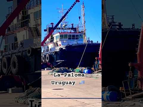 ¡INCREÍBLE lo que pasa en el puerto de La Paloma! 🚢⚠️ Barco en reparación y otro listo para salir