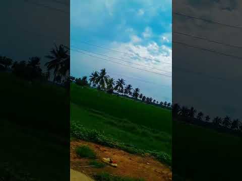 clouds🌩️🌩️####meadows🌴🌴