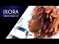 IXORA Model Clip Amanda