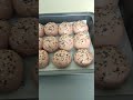 Purple Sweet Potato Buns Shorts
