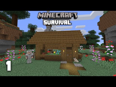 Minecraft: A New World - Survival Let's play | Ep 1