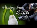 New Beginnings | Stepping into Spring
