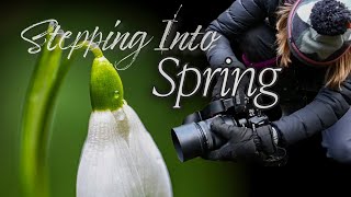 New Beginnings | Stepping into Spring