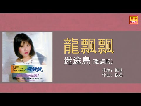 龍飄飄 - 迷途鳥 - 歌詞版