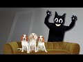 Dogs vs Cartoon Cat in Real Life Prank! Funny Dogs Maymo, Potpie & Cute Puppy Indie vs Cartoon Cat
