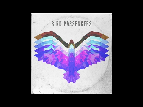 Bird Passengers - Do You Feel Alive