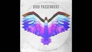 Bird Passengers - Do You Feel Alive