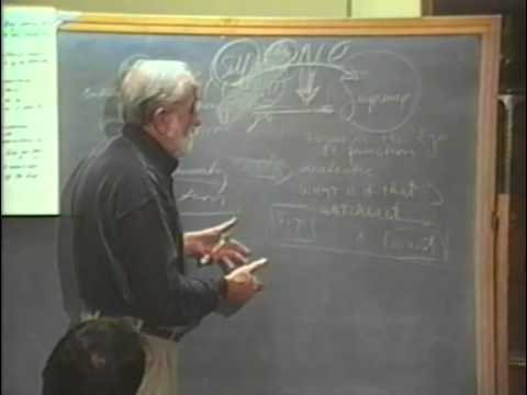 A reflection on Alan Watts' work by Pierre Grimes