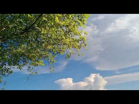 Beauty of nature 😍💚