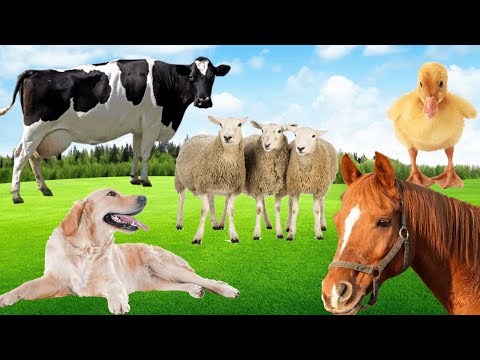 , title : 'Som dos Animais da Fazenda e Nome dos Animais Domesticados [ Animal World Videos ]'