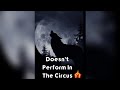 A Wolf Doesn T Perform In A Circus