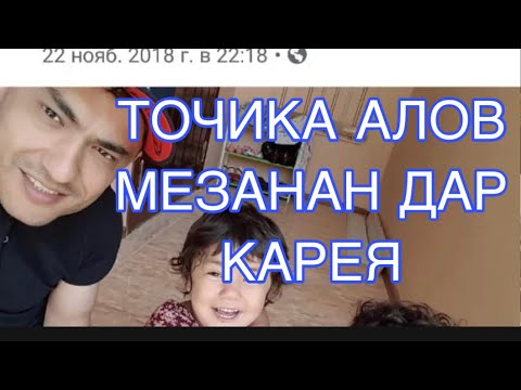 ТОЧИКА алов МЕЗАНАН дар КАРЕЯ аз Душанбе гариббача