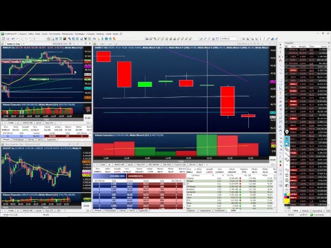 Palinha do Palex - dia 30 de  janeiro de 2019 - MANHÃ