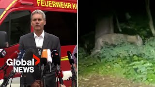 Lion in Berlin? Police find no trace of mystery animal as hunt continues