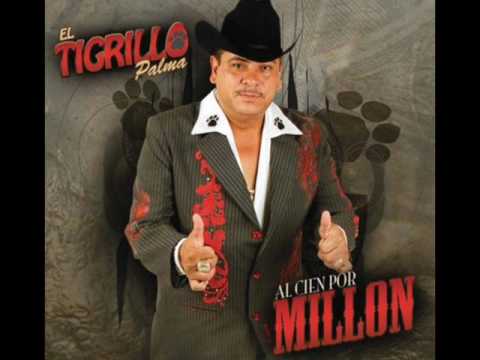 el guero pesado el tigrillo palma